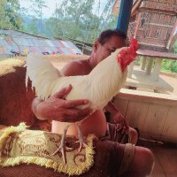 Yordan ♋ (@grimjob69) 's Twitter Profile