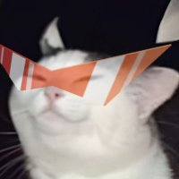 (a^🗡️)ndrew (@0xnullcline) 's Twitter Profile Photo (a^🗡️)ndrew (@0xnullcline) 's Twitter Profile Photo