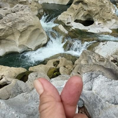 yosoyjeng's profile picture. not missing out