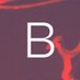 Berdache Festival (@berdachefest) Twitter profile photo Berdache Festival (@berdachefest) Twitter profile photo
