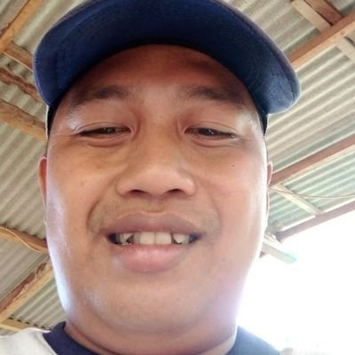 didik wijayana Profile