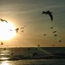 Ahmed Eisa - @ahmed_su88 - Twitter