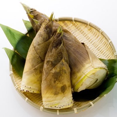 takenokoo12's profile picture. 趣味アカ