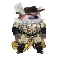 Leonardo di bonkio 🇳🇱 (@leonardkerk) 's Twitter Profile
