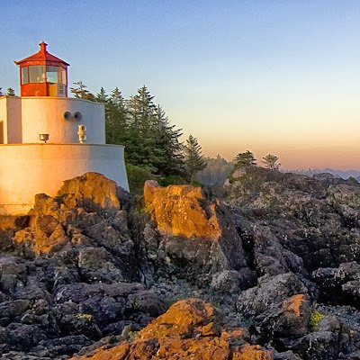 AmaanSiddh4796's profile picture. 