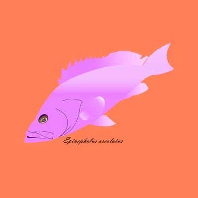 釣具メーカーで商品企画をしております。
パックロッドマニア
イワナlover
ヒラスズキ愛好家
遠征家
その土地特有のイワナを探して全国の山々を徘徊。
風が吹けば磯におりてヒラスズキ。気が向いたらパックロッドを担いで僻地へ大物狙い。