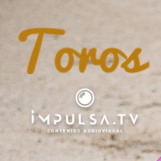 Los mejores reportajes de toros en exclusiva