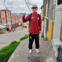 POLLO 1941 (@kevin17101921) 's Twitter Profile