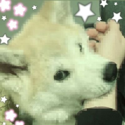 karaaxoo's profile picture. (≡^∇^≡)