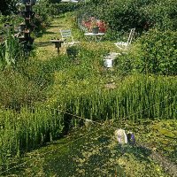 Lees Park Eco Hub (@leesparkecohub) 's Twitter Profile