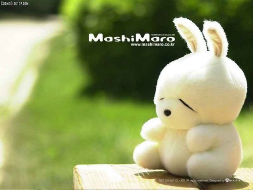 FunnyTwitt228's profile picture. 