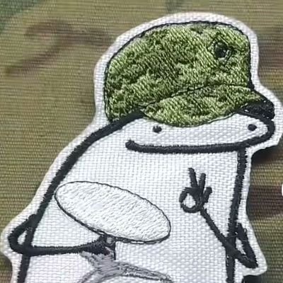 tmegavoltenko's profile picture. Зв'язковий війсківець, капрал  ЗСУ.
Слюсар по Старлінкам, Мавікам і Аутелам.