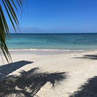 Packy Lee (@packylee) 's Twitter Profile