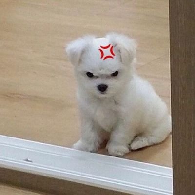 yeppi_mn's profile picture. 🌟🌟