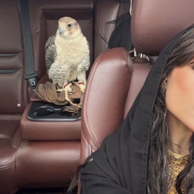 7iioux's profile picture. 