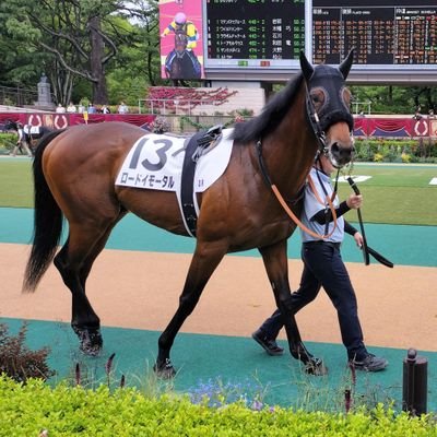 1wCace's profile picture. ロードサラブレッドオーナーズにて一口馬主をしております。
いつかは重賞出走、制覇を夢見てます。
ご一緒の方、よろしくお願いいたします！