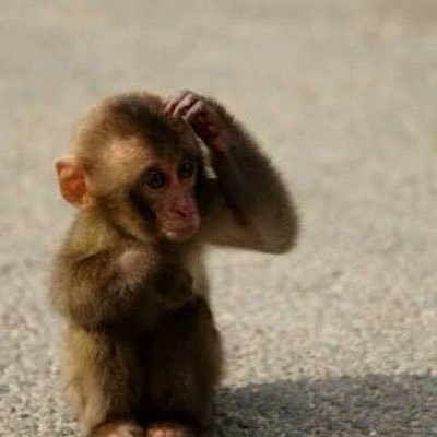 xf0jtNL5L0BQPvf's profile picture. 