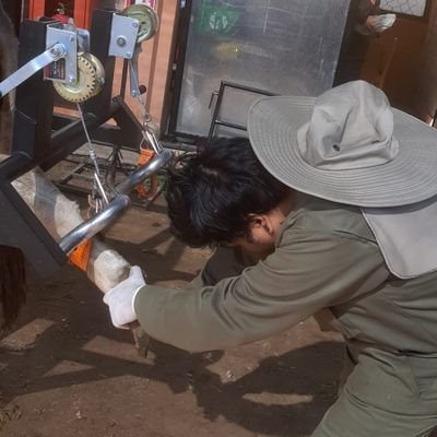 Alexand07201052's profile picture. Medico Veterinario. Fotógrafo, programador fivem, tatuajes y modificaciones corporales