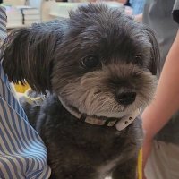 새미래문토리💙🩵 (@tzht5gg3wgf6bwl) 's Twitter Profile Photo