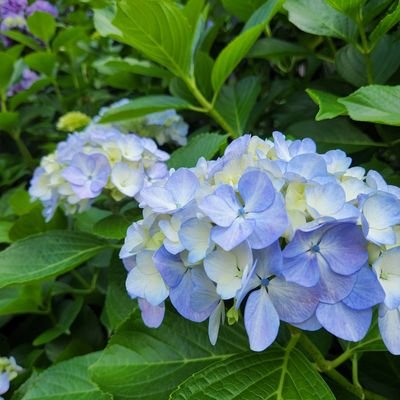 Yueさんのプロフィール画像