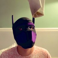 Paillasson (@subpaillasson) 's Twitter Profile