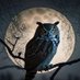 Night Owl (@NightOwlsPlace) Twitter profile photo