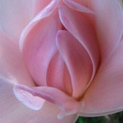 REBIRTH2026's profile picture. 