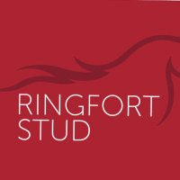 Ringfort Stud (@ringfortstud) 's Twitter Profile