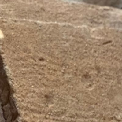 contd3s4tiva's profile picture. 