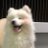 j14htyt's profile image