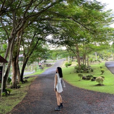 sagaapse's profile picture. Currently going through an existential crisis 🩹