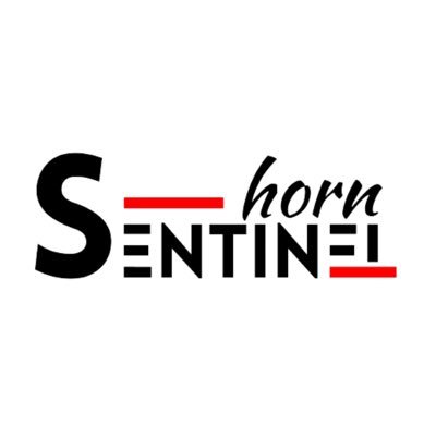HornSentinel's profile picture. Communicating Complex Horn of African Stories - Leading Current Affairs Platform in Somalia - Affiliates: @HornSentinel_Ar @HS_CivicSpace