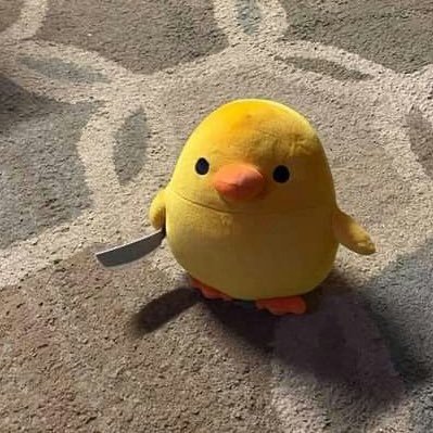 yupnrr Profile Picture
