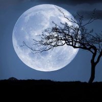 Borsa Uygar (@borsauygar) Twitter profile photo