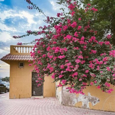 lmmrylmmry1's profile picture. ᷂اللَّهُــمَّ ᷂صَلِّ ᷂وَسَـــلِّمْ ᷂وَبَارِك ᷂على ᷂نَبِيِّنَـــا ᷂مُحمَّدﷺ. 🌹🌿'