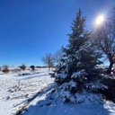 Aaron Ford - @LoneStar_SAR - Twitter