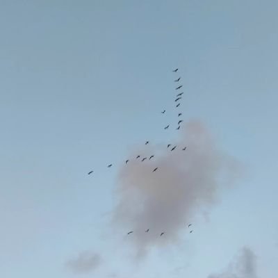 naadllh's profile picture. life as introvert
like read au :)
and like food (maybe)