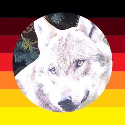 HvonWolf Profile Picture