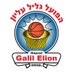 Hapoel 'Nofar' Galil Elion הפועל 'נופר' גליל עליון (@galilelionbc) Twitter profile photo