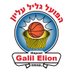 Hapoel 'Nofar' Galil Elion הפועל 'נופר' גליל עליון (@galilelionbc) Twitter profile photo