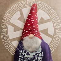 ₿itGnome(@ancapgnome) 's Twitter Profile Photo