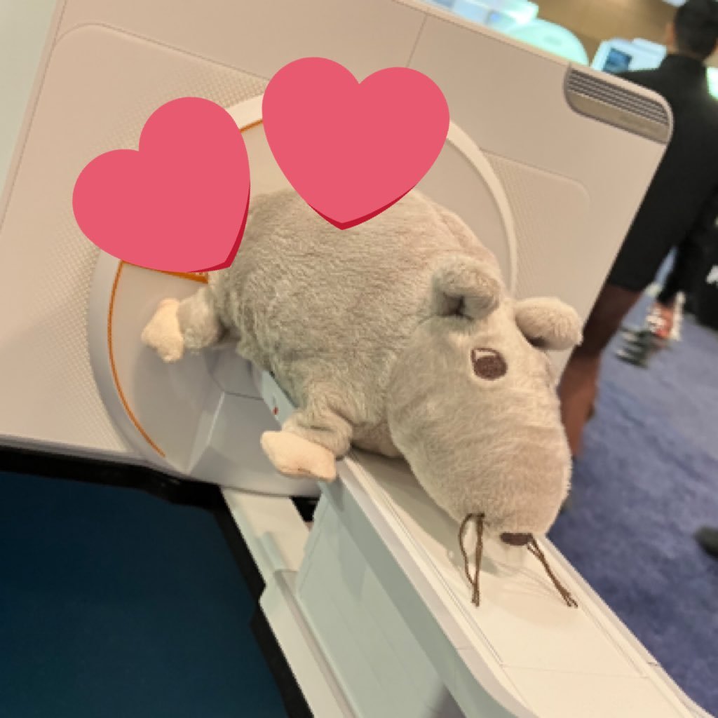 My name is Rudy Rat. I was liberated from ISMRM 2023 in Toronto and it’s my aim to visit the leading MRI research institutes across the globe!