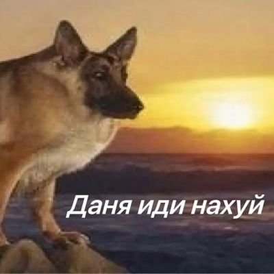 Oxigen002's profile picture. 