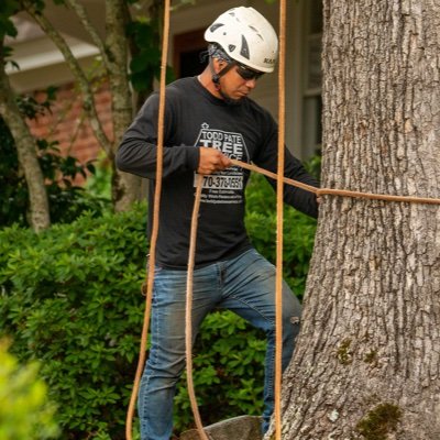 Todd's Roswell Tree Removal Service is your affordable Roswell GA tree service company that does emergency tree removal and has been in business 18 years.