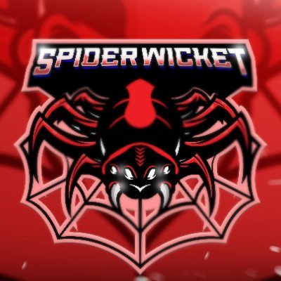 SpiderWicket Profile Picture