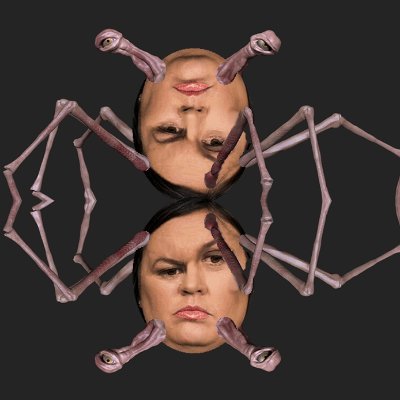 Sarah Huckabee's Crooked 3rd Eye (parody-sh*tpost) Profile