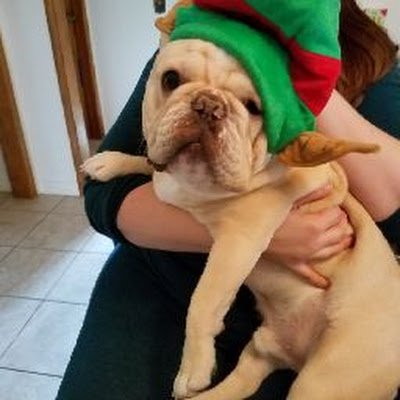 Mlease46's profile picture. 