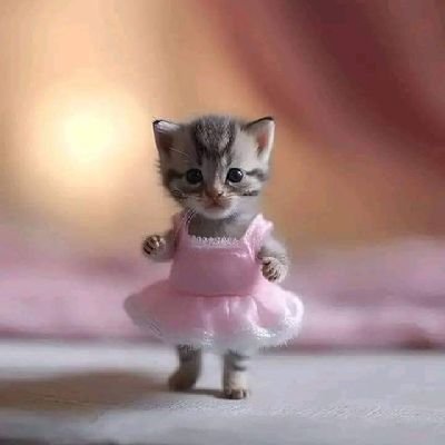 Mirozaa55's profile picture. 