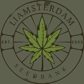 breeder Cannabis Enthusiast | Seed Bank venture | Let's cultivate a promising future in the cannabis industry |