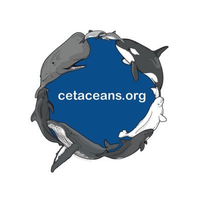 We are a non-profit endeavor with the purpose of helping you take action for cetaceans! Thank you for diving in! (Please click our site - linked in profile)